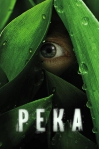 
Река (1984) 