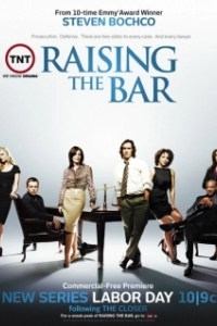 Постер Адвокатская практика (Raising the Bar)