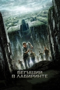 
Бегущий в лабиринте (2014) 