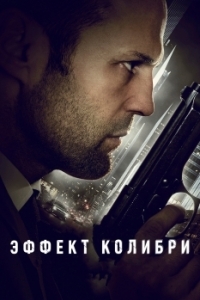 
Эффект колибри (2012) 