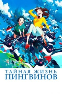 
Тайная жизнь пингвинов (2018) 