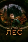 Постер Таинственный лес (2023)