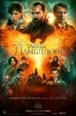 Постер Фантастические твари: Тайны Дамблдора (2022)