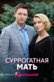 Постер Суррогатная мать (2020)