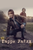 Постер Гарри Уайлд (2022)