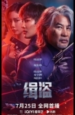 Постер Поймать воров (2025)