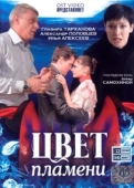 Постер Цвет пламени (2010)