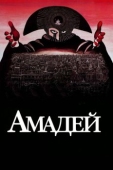 Постер Амадей (1984)