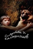 Постер Спартак и Калашников (2002)