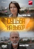 Постер Судьба на выбор (2011)