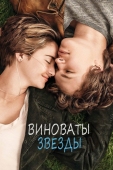 Постер Виноваты звезды (2014)