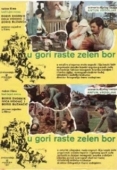 Постер На горе растет зеленая сосна (1971)