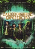 Постер Заколдованное королевство (2007)