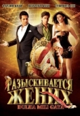 Постер Разыскивается жених (2010)