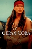 Постер Серая сова (1999)