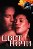 Постер Цвет ночи (1994)