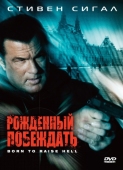 Постер Рожденный побеждать (2010)