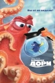Постер В поисках Дори (2016)