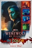 Постер Ночной оборотень