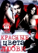 Постер Красные цвета любви (2007)