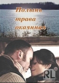 Постер Полынь - трава окаянная (2010)