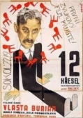 Постер Двенадцать стульев (1933)