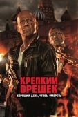 Постер Крепкий орешек: Хороший день, чтобы умереть (2013)
