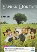 Постер Листопад (2006)