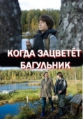 Постер Когда зацветёт багульник (2010)