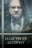 Постер Навстречу шторму (2009)