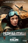 Постер Редкая птица (2024)