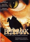 Постер Ведьмак (2001)