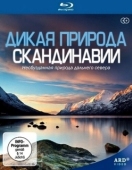 Постер Дикая природа Скандинавии (2011)