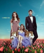 Постер Пора тюльпанов (2010)