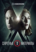 Постер Секретные материалы (2015)