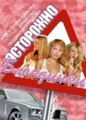 Постер Осторожно, блондинки! (2006)