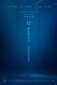 Постер 12 футов глубины (2017)