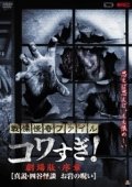 Постер Ужасающие материалы: Правда о призраках Ёцуи и проклятии Оивы (2014)