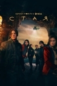 Постер Стая (2022)