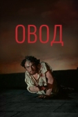 Постер Овод (1955)