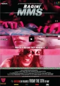Постер Последняя запись (2011)