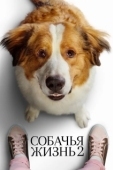 Постер Собачья жизнь 2  (2019)