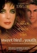 Постер Сладкоголосая птица юности (1989)