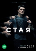 Постер Стая (2022)