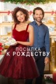 Постер Доставить к Рождеству (2020)