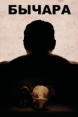 Постер Бычара (2011)