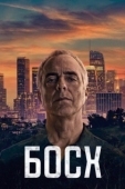 Постер Босх (2014)