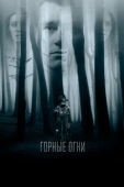 Постер Горные огни (2017)