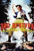 Постер Эйс Вентура 2: Когда зовет природа (1995)