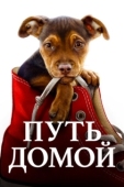 Постер Путь домой (2019)